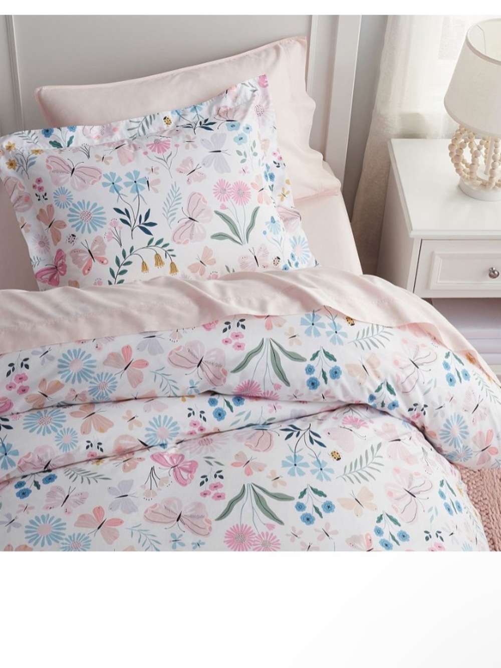 Pottery Barn Wildflower Butterfly Organic Cotton Duvet Cover and 2 Standard Sham